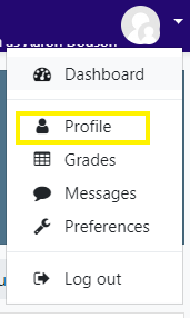 screenshot of profile in drop down menu